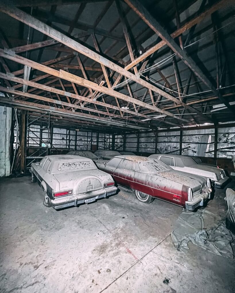 Forgotten Car Collection
