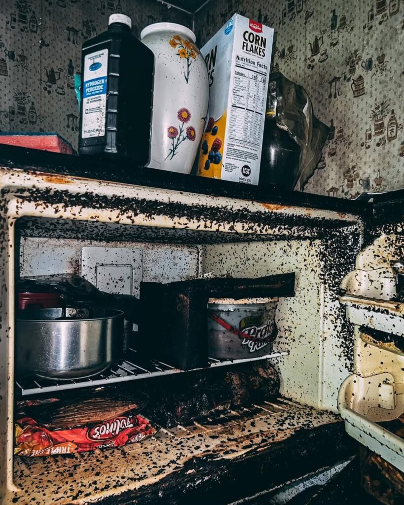 Abandoned Houses in Illinois