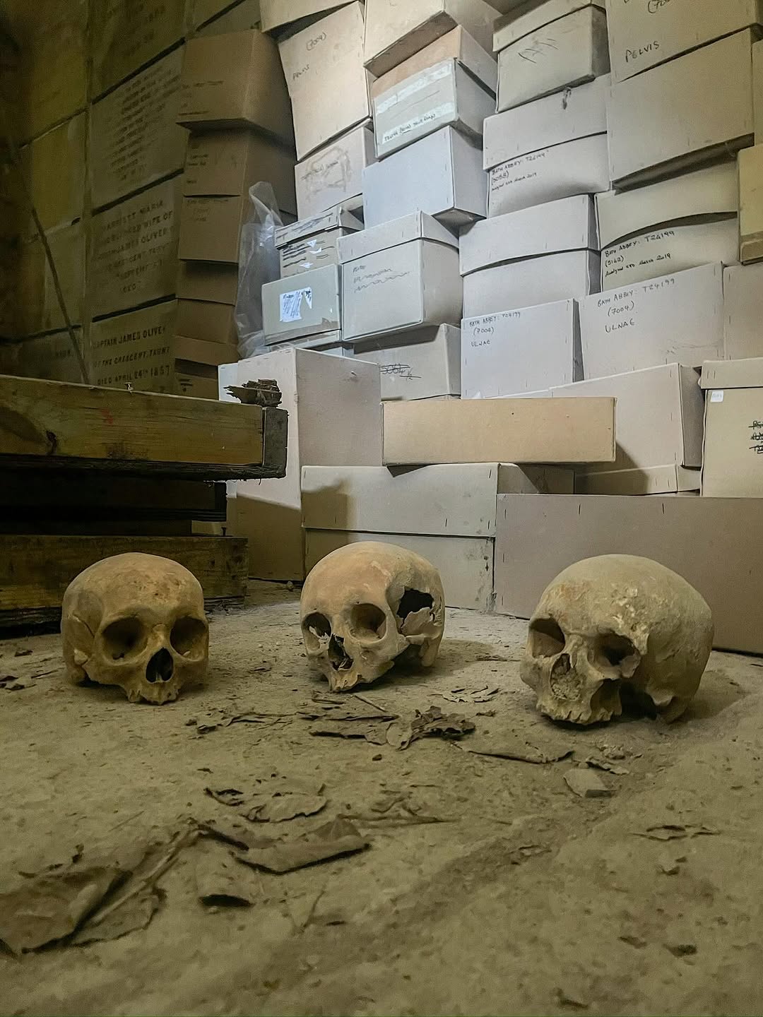 Abandoned Crypts