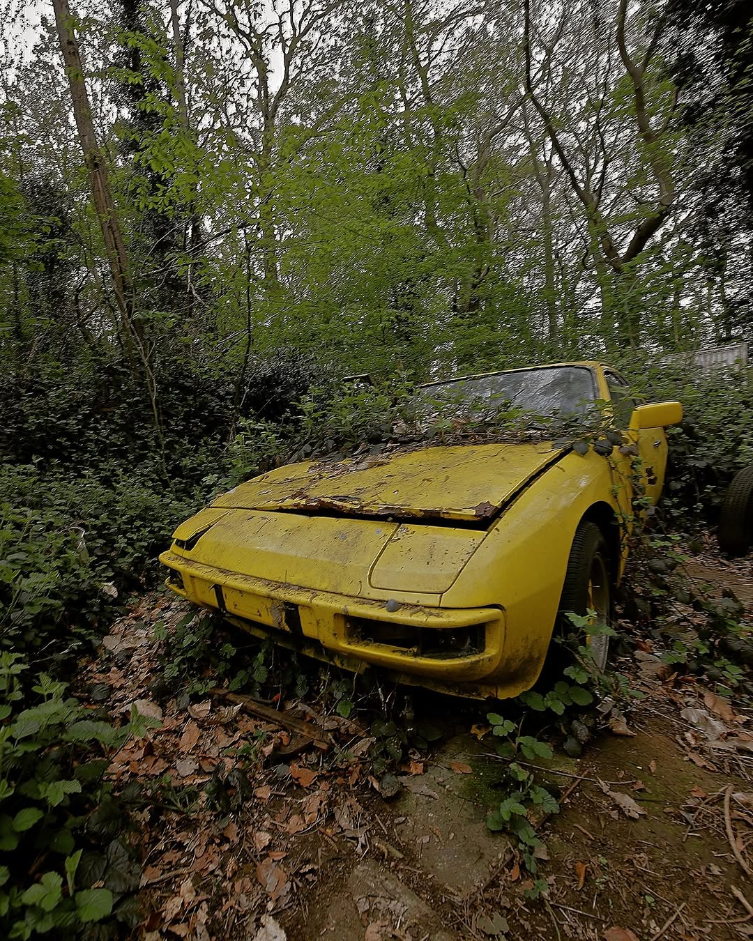 Abandoned Porsche
